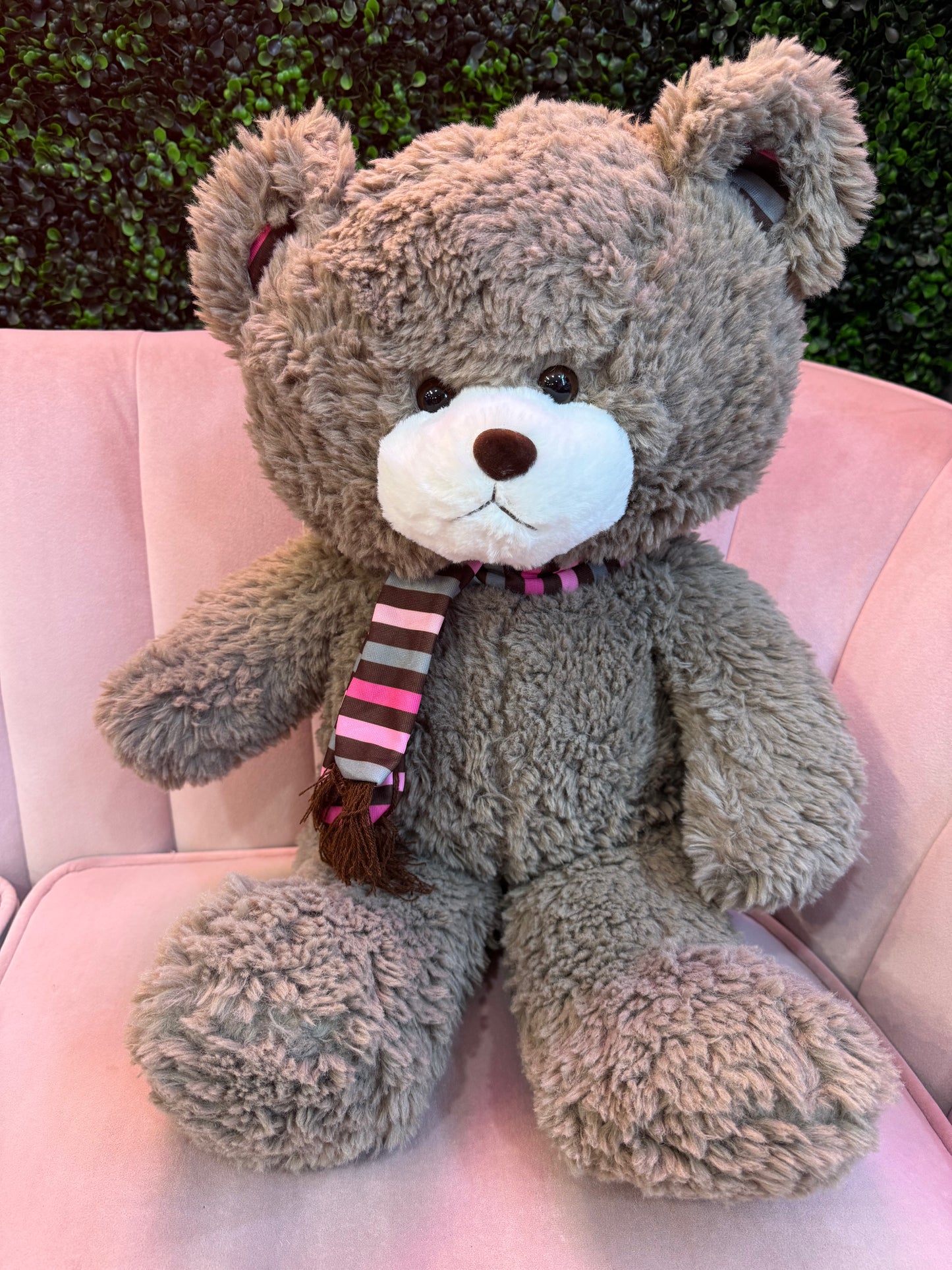 60cm Bear with scarf