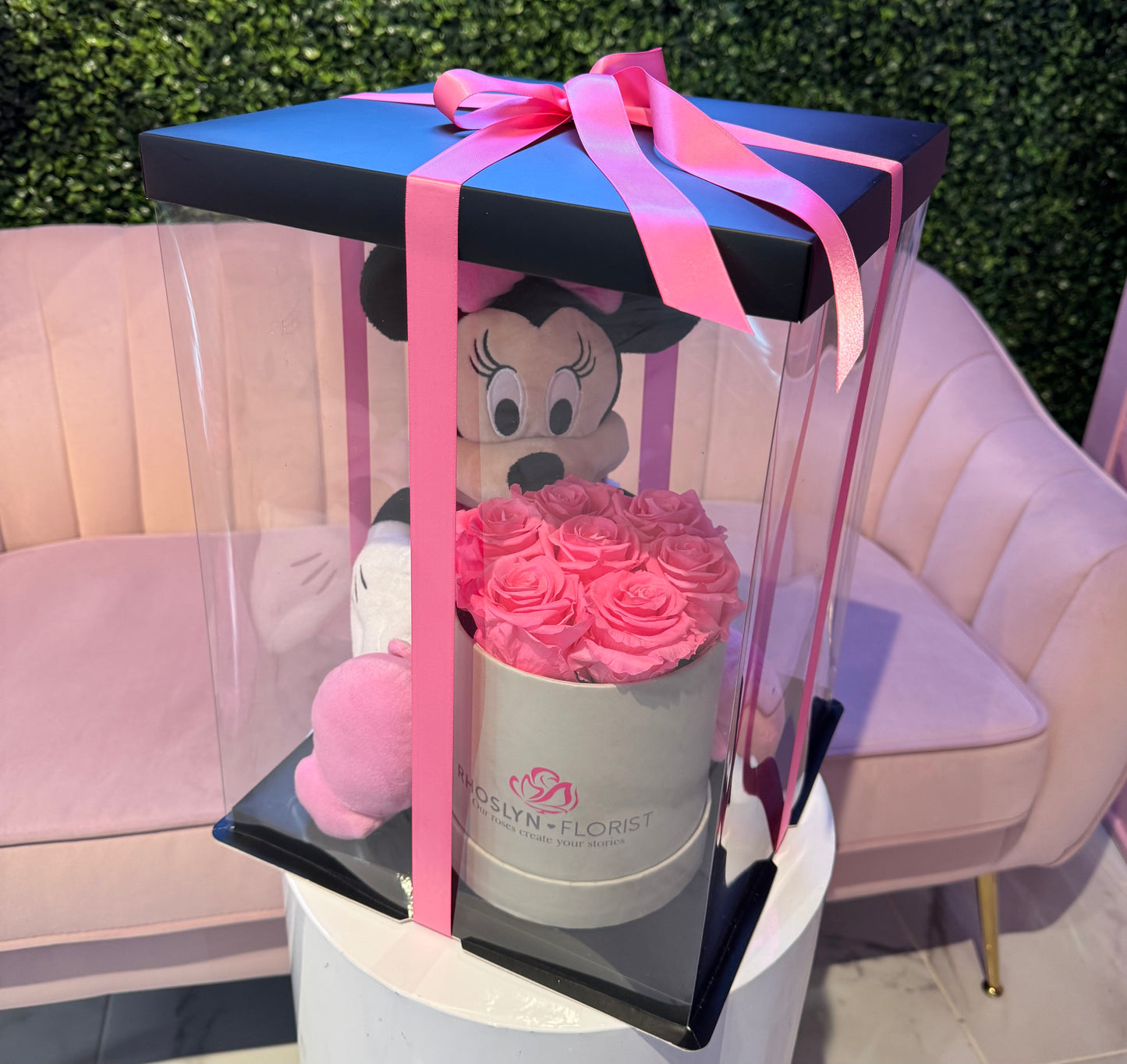 Preserved Disney Box