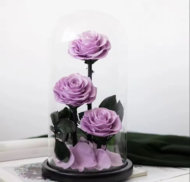 Big Prince Glass Dome