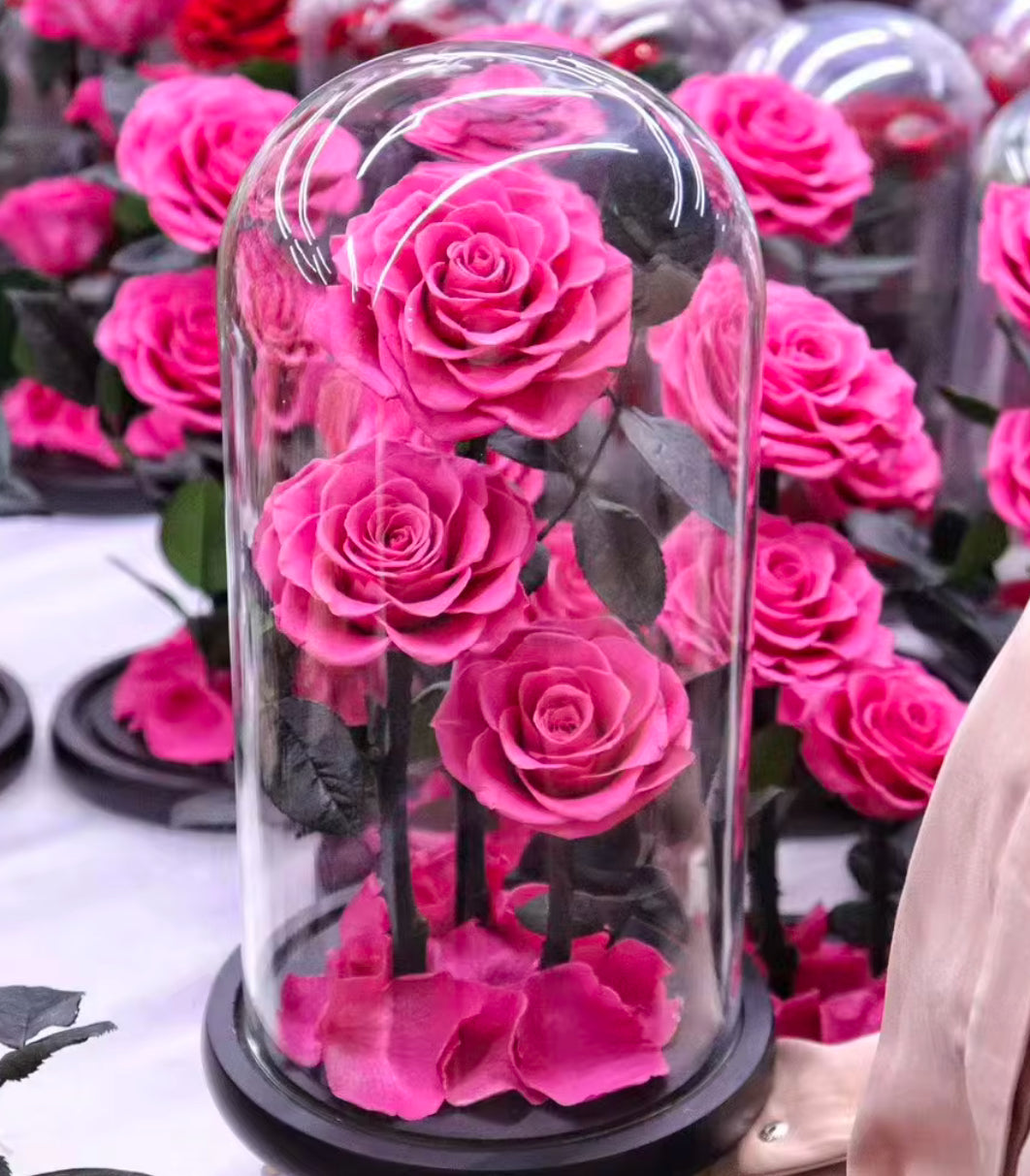 Big Prince Glass Dome