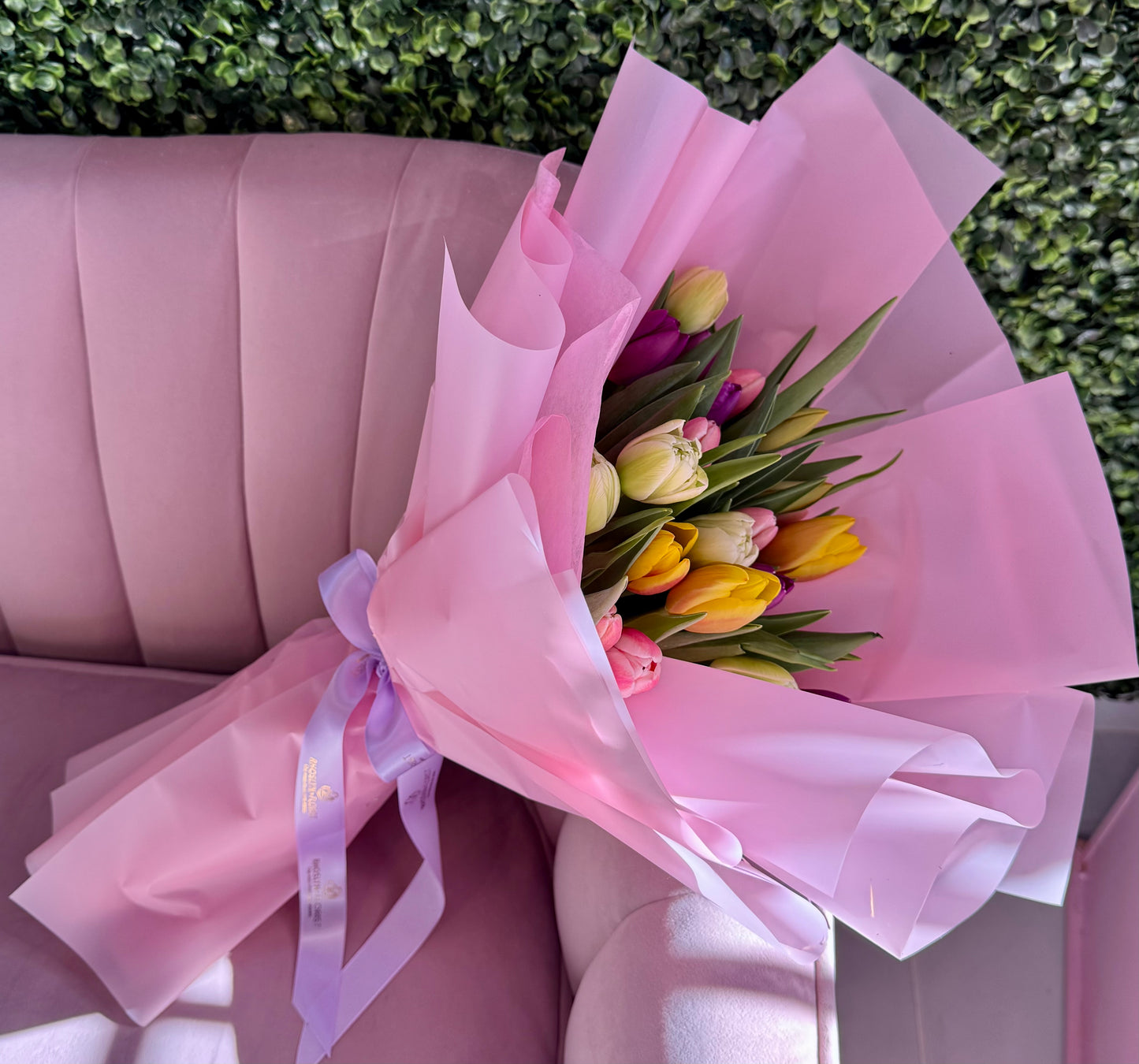 Mix Colorful Tulips