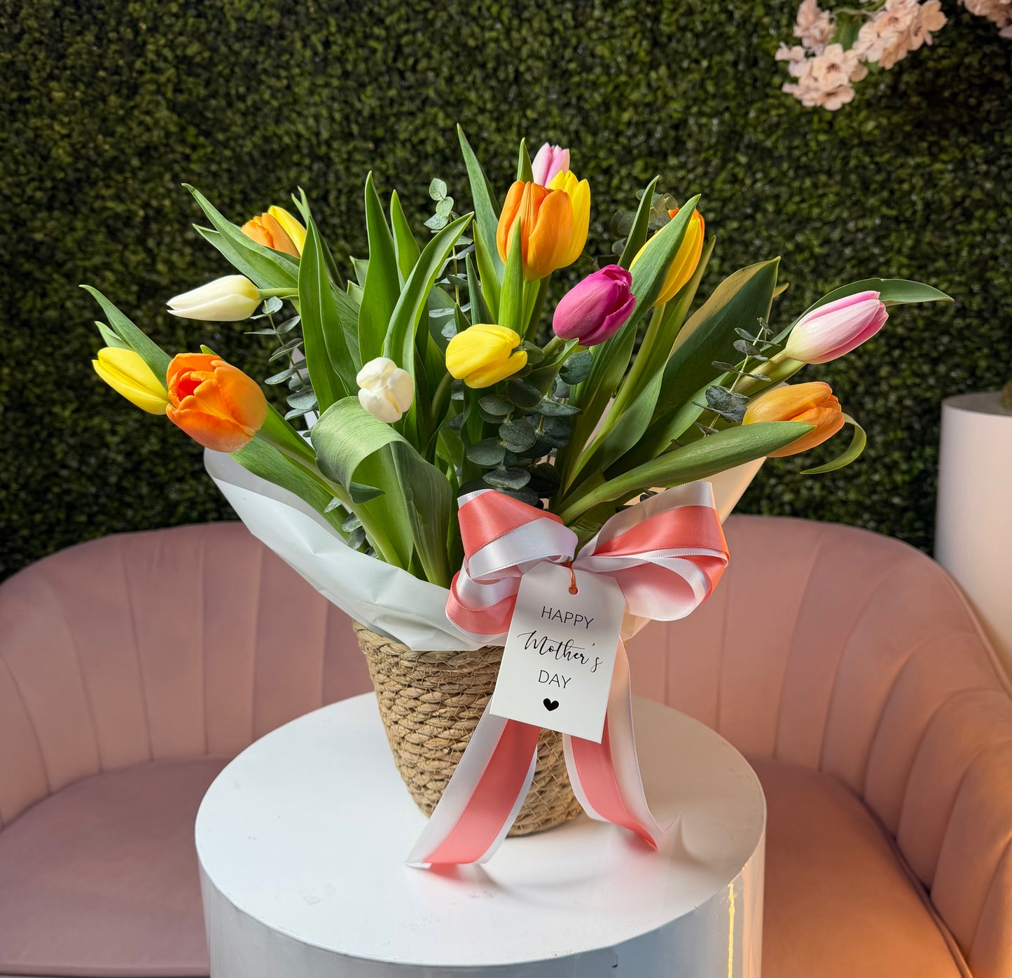 Soft Embrace Tulips