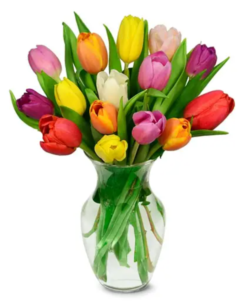 Mix Colorful Tulips