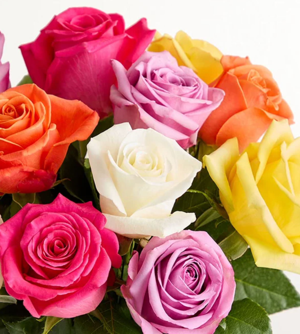 1 Doz Color Roses Wrap