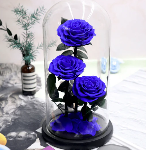 Big Prince Glass Dome