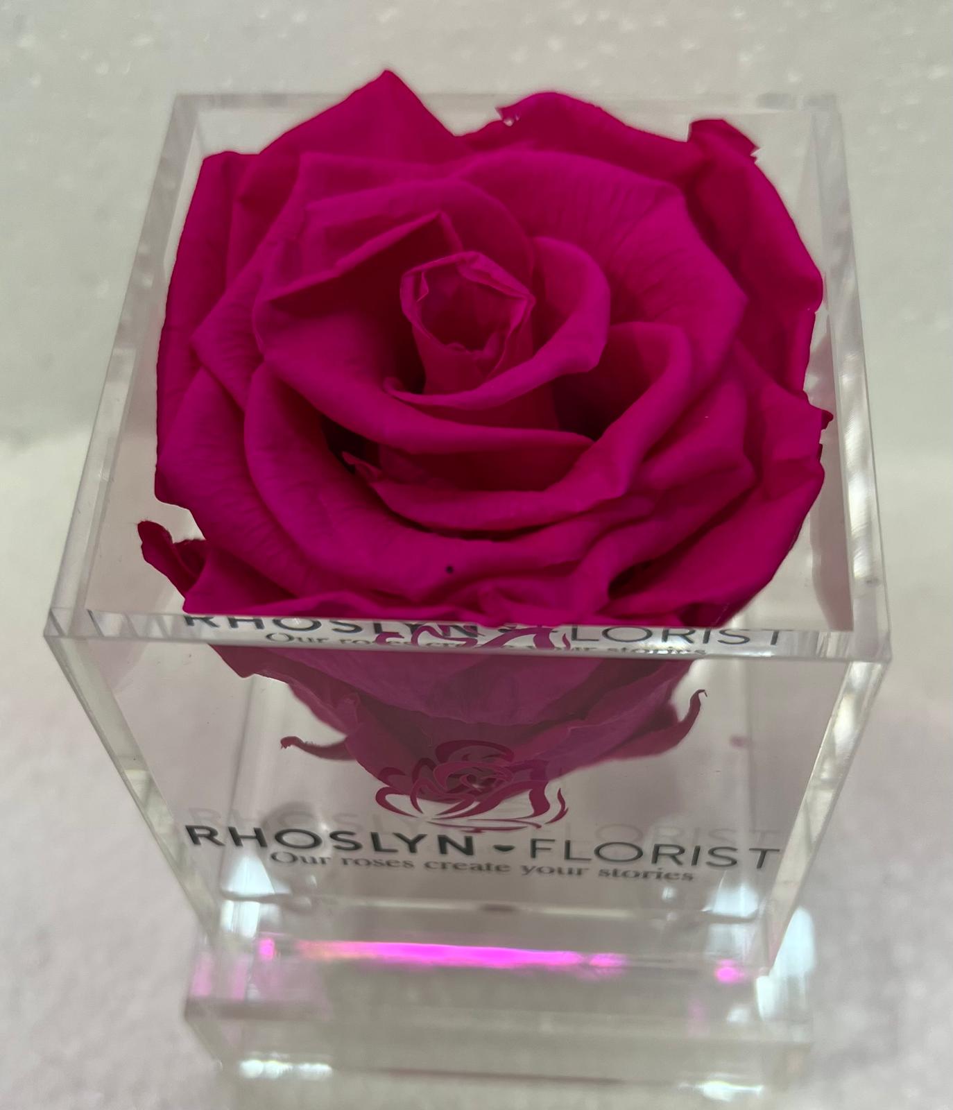 Acrylic Single Rose
