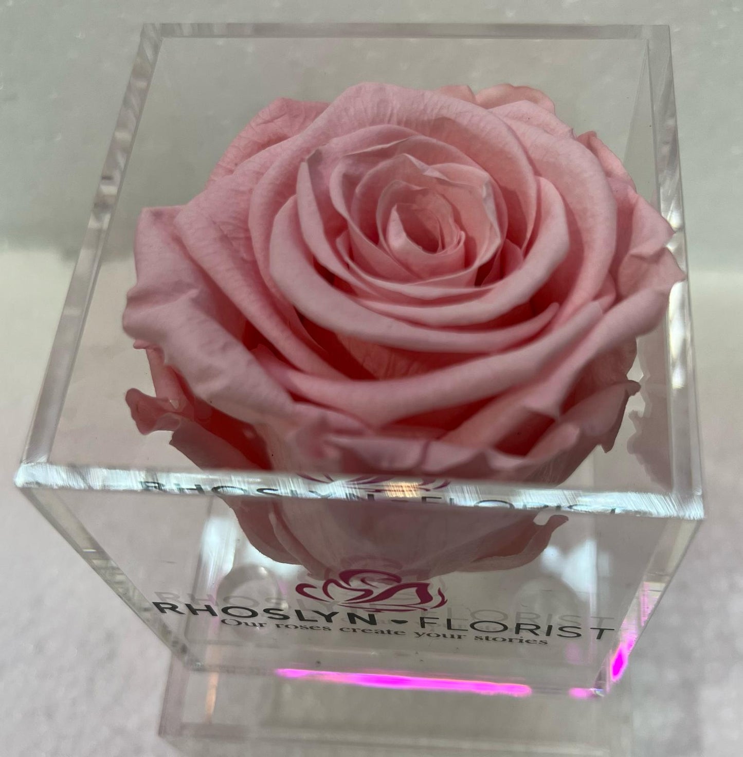 Acrylic Single Rose