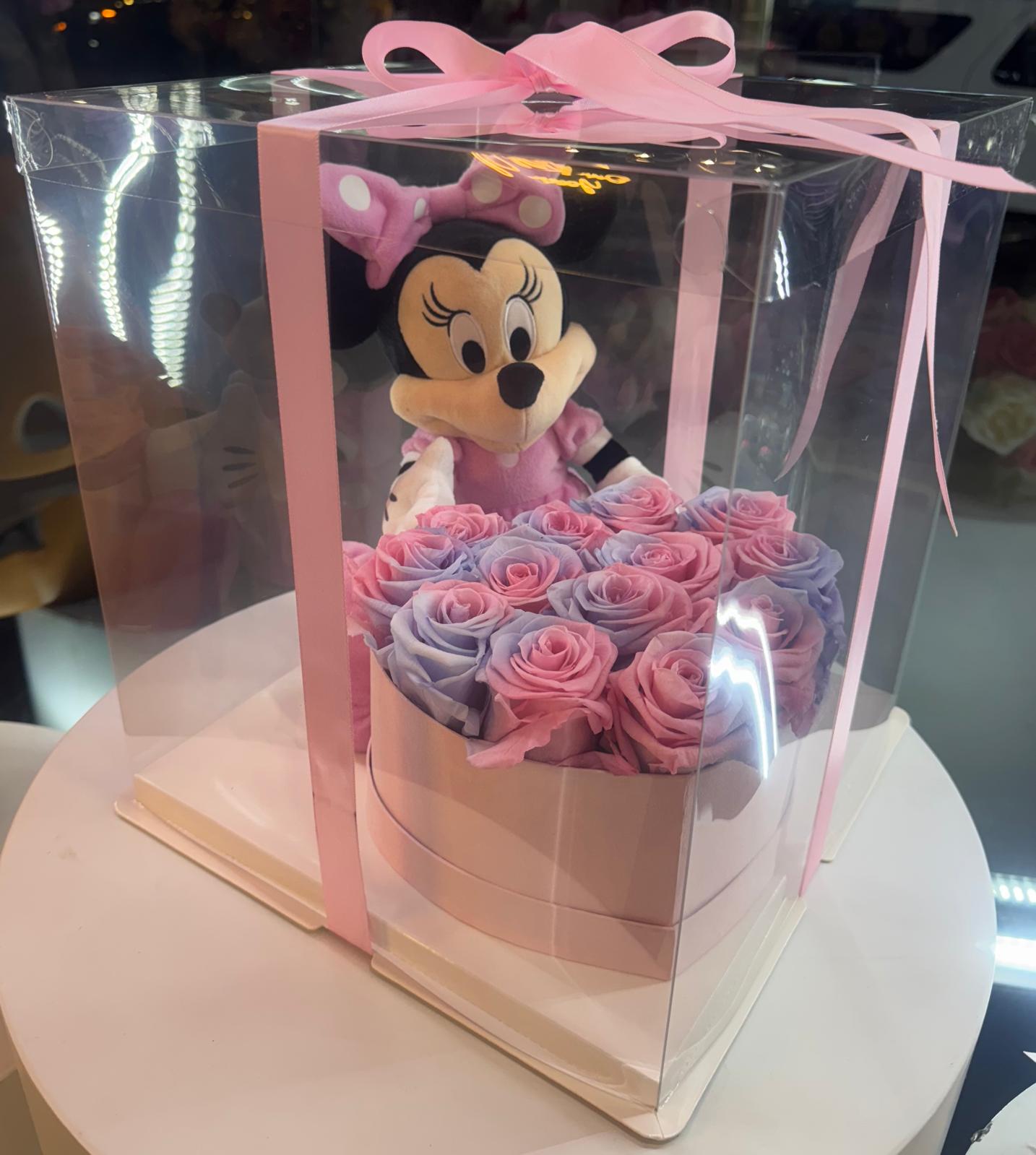 Preserved Disney Box