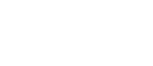 Rhoslyn Florist