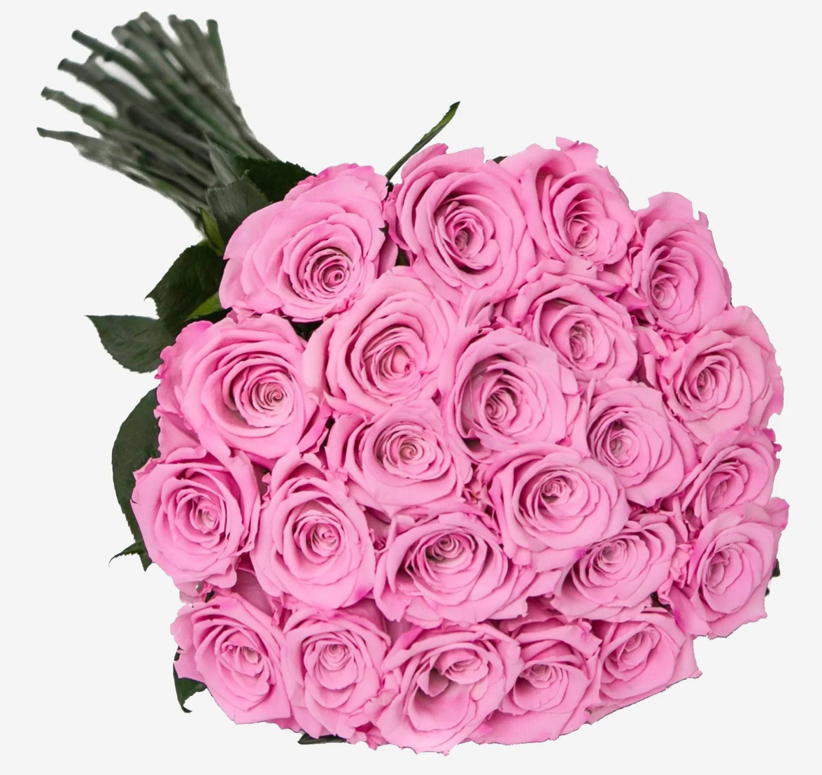 1 Doz Color Roses Wrap