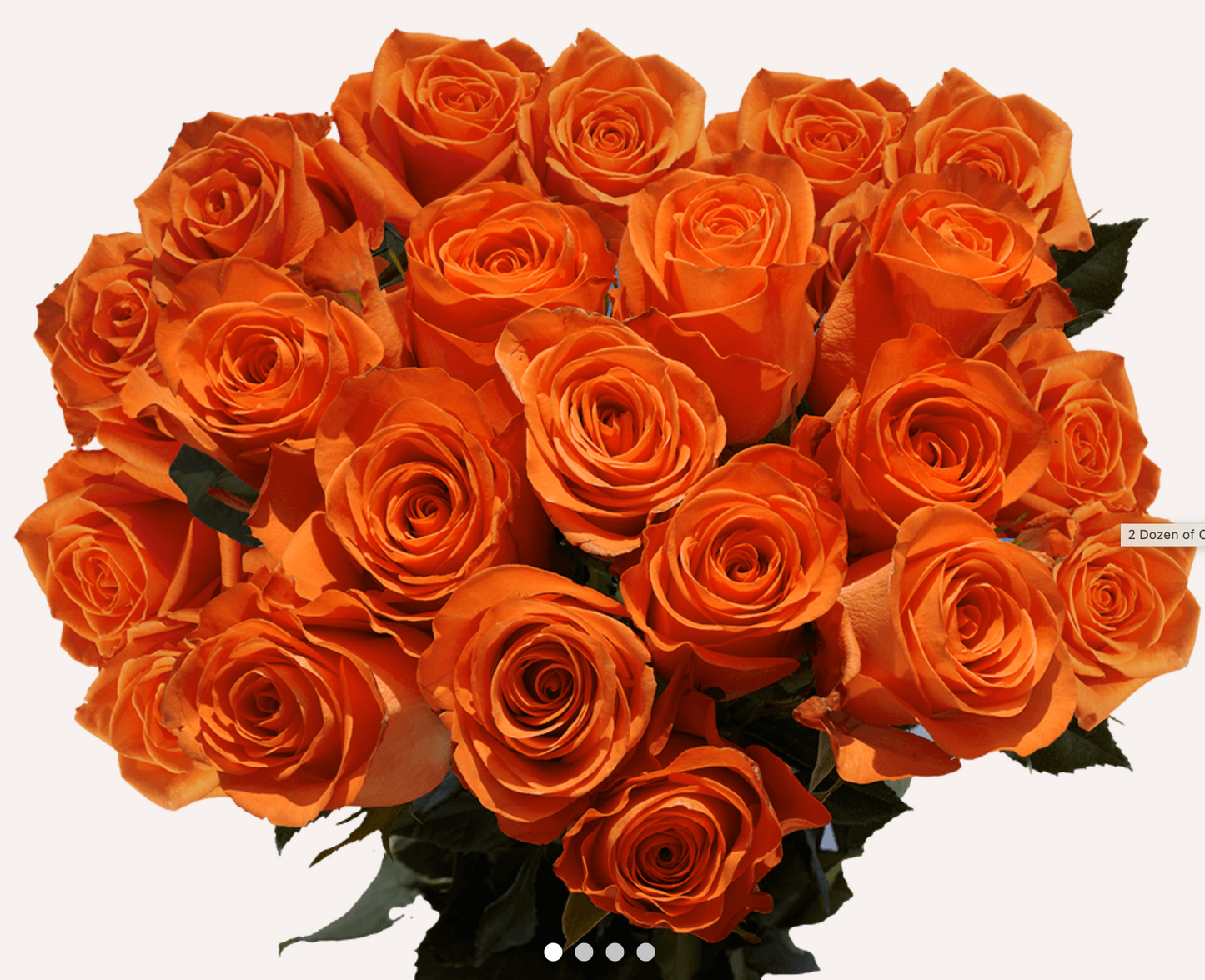 1 Doz Color Roses Wrap