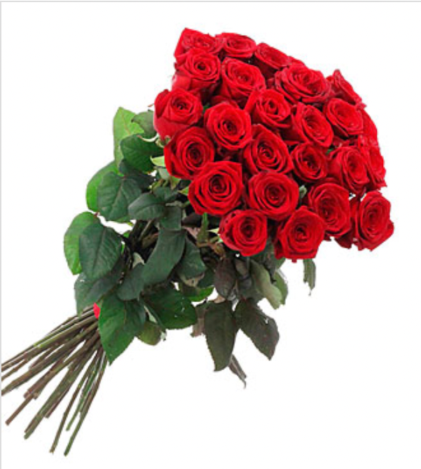 1 Doz Color Roses Wrap