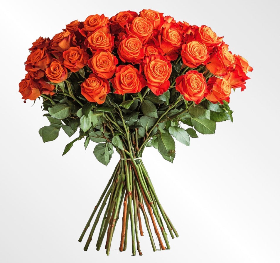 The Classic Dozen Romance Bouquet
