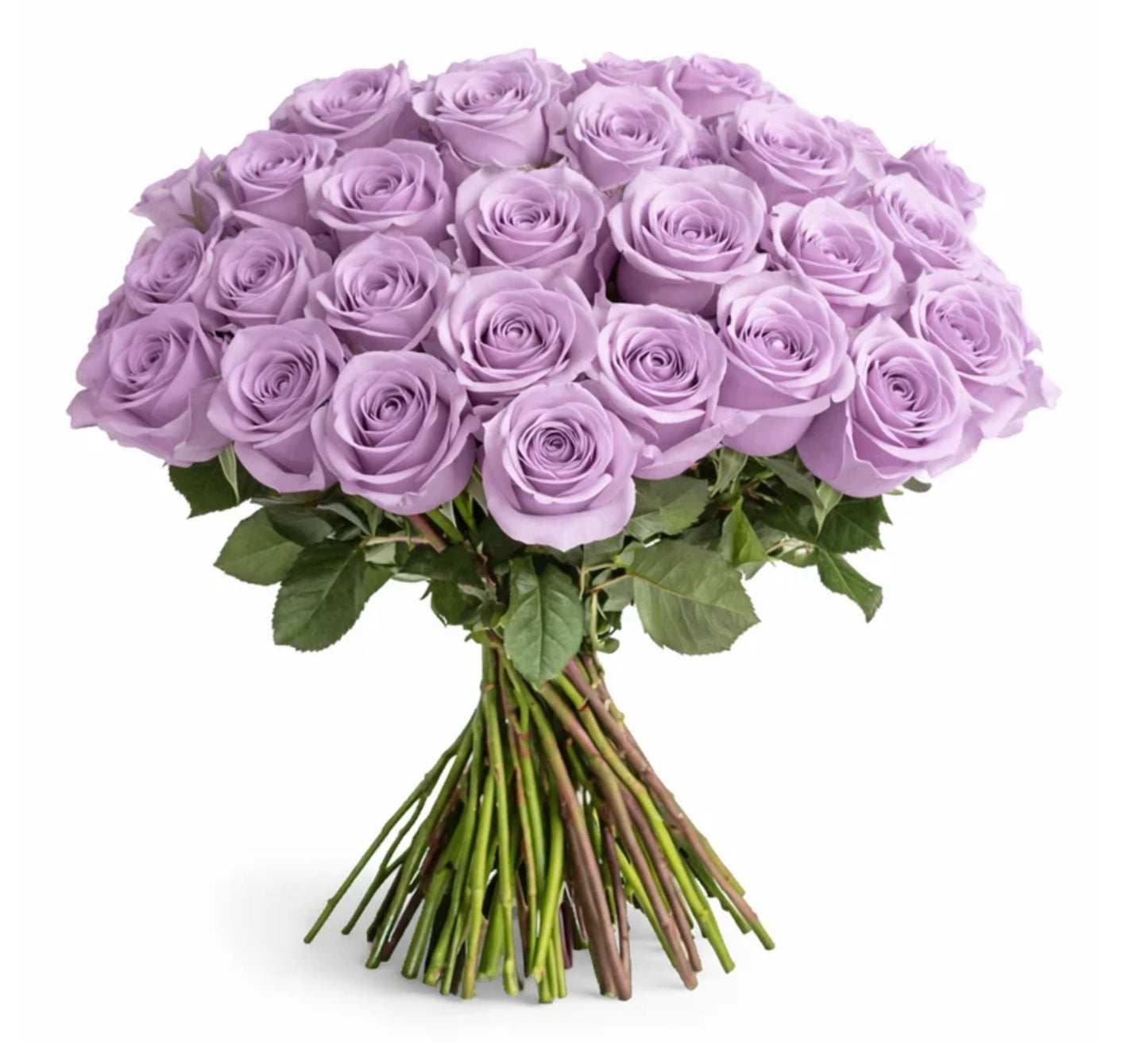 The Classic Dozen Romance Bouquet