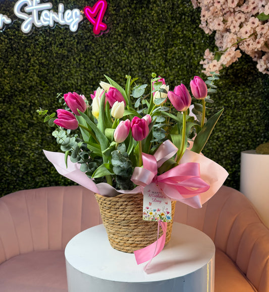 Soft Embrace Tulips