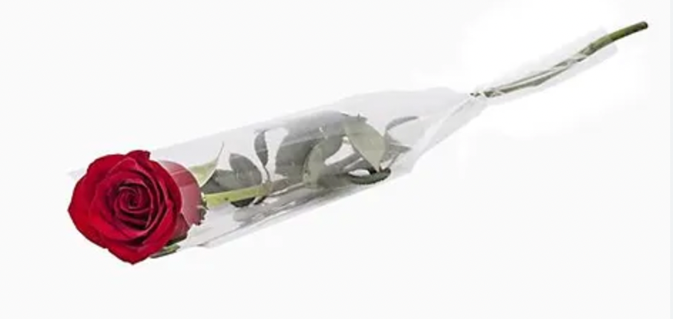 1 Doz Color Roses Wrap – Rhoslyn Florist