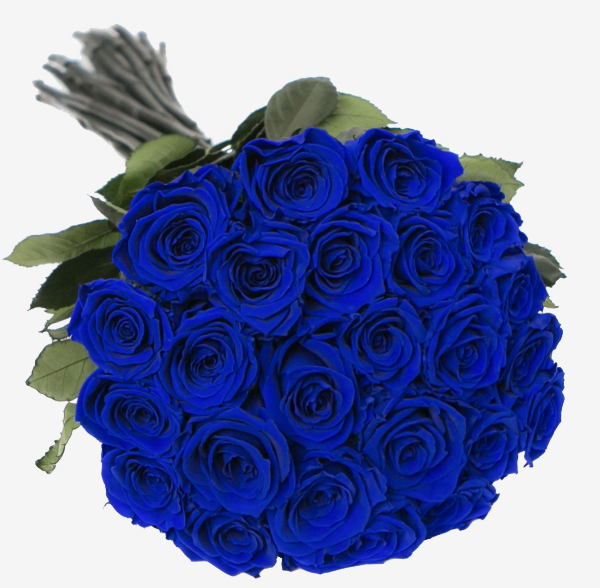 1 Doz Color Roses Wrap – Rhoslyn Florist