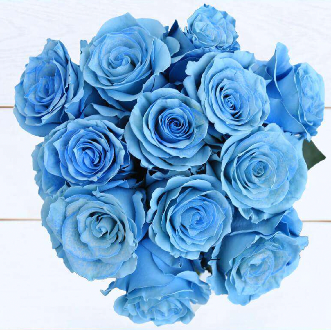 1 Doz Color Roses Wrap – Rhoslyn Florist