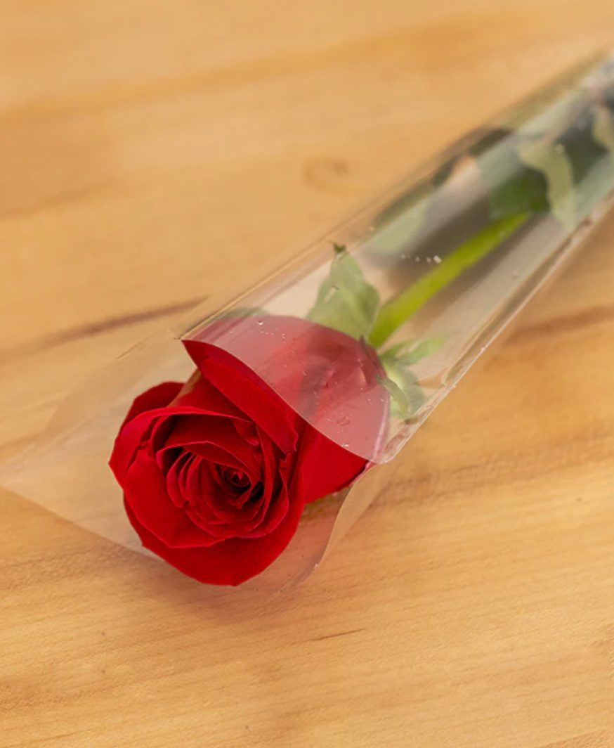 Single Rose No Babys Breath