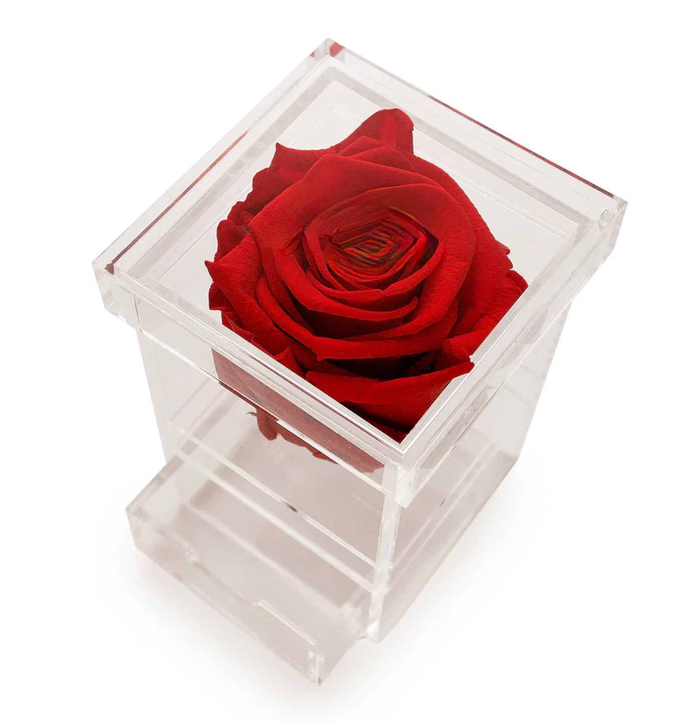 Eternal Bloom Luxe Box