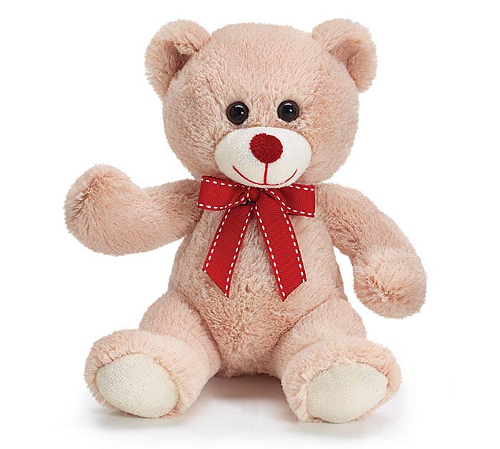 Plush Teddy Bear 7''