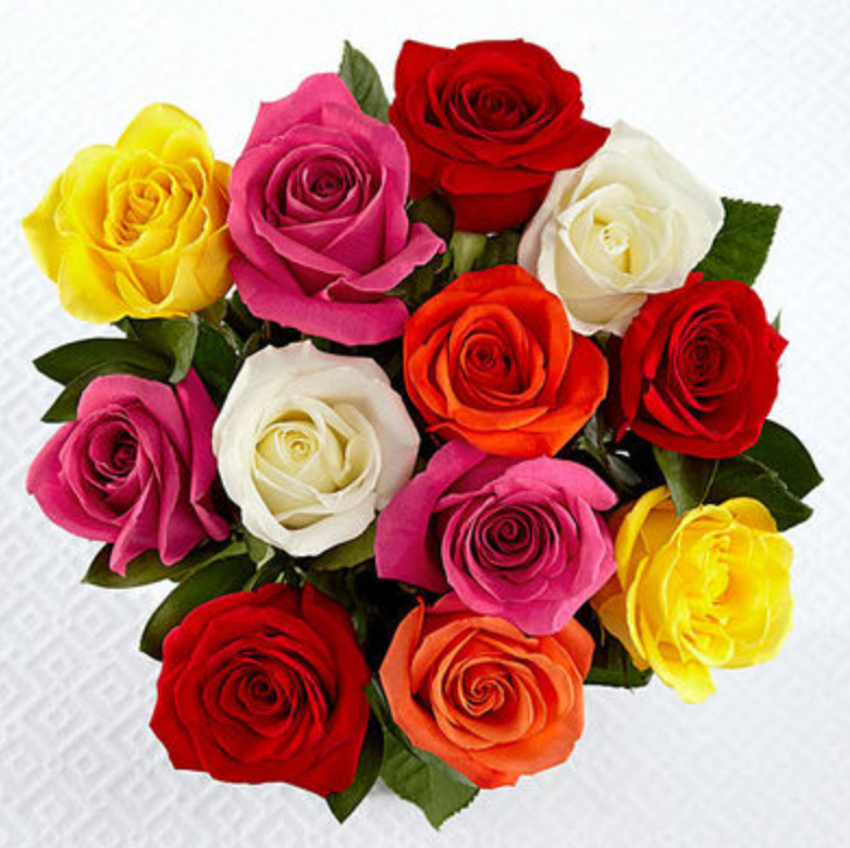1 Doz Color Roses Wrap